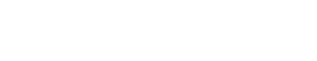 Tech Wisdo Web Design Agency